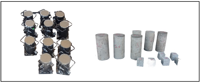 Casting and demolding of mortar specimens