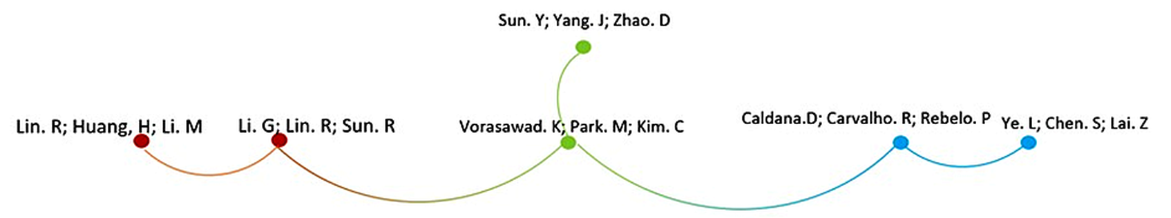 Figure 7. Authors' Bibliographic Pairing Network (Source: Authors adapted from Wosviewer)