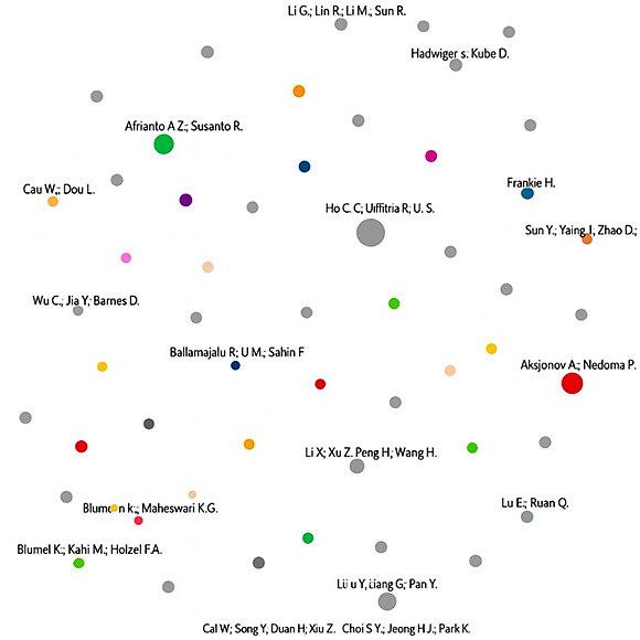 Figure 3. Co-authorship graph (Source: Authors adapted from Wosviewer)
