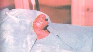 Imagen que contiene tabla, alimentos, hombre, cubierto

Descripción generada automáticamente