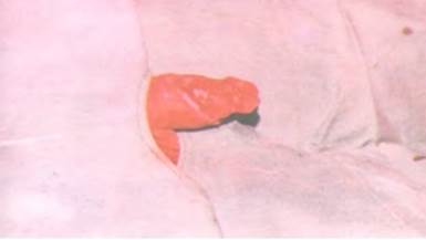 Imagen que contiene hombre

Descripción generada automáticamente