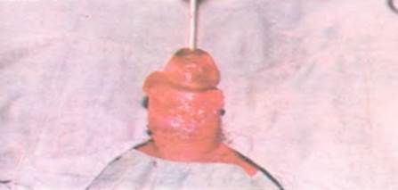 Imagen que contiene ropa interior, hombre, sostener, parado

Descripción generada automáticamente