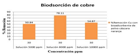 Gráfico, Gráfico de barras
Descripción generada automáticamente