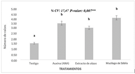 Gráfico, Gráfico de barras

Descripción generada automáticamente