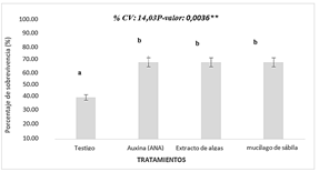 Interfaz de usuario gráfica, Aplicación, Word

Descripción generada automáticamente