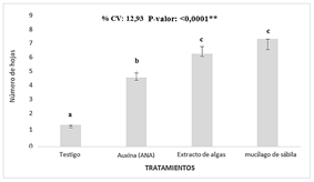 Interfaz de usuario gráfica, Aplicación, Word

Descripción generada automáticamente