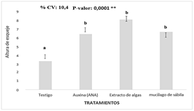 Interfaz de usuario gráfica, Aplicación, Word

Descripción generada automáticamente