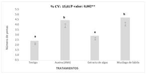 Interfaz de usuario gráfica, Aplicación, Tabla, Word

Descripción generada automáticamente