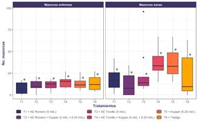 Gráfico, Gráfico de cajas y bigotes

Descripción generada automáticamente