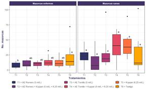 Gráfico, Gráfico de cajas y bigotes

Descripción generada automáticamente