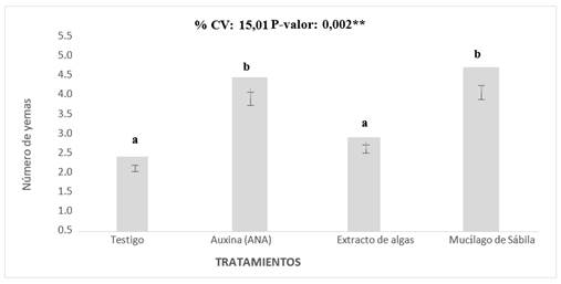 Interfaz de usuario gráfica, Aplicación, Tabla, Word

Descripción generada automáticamente