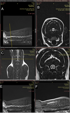 Imagen de la pantalla de un computador

Descripción generada automáticamente con confianza baja