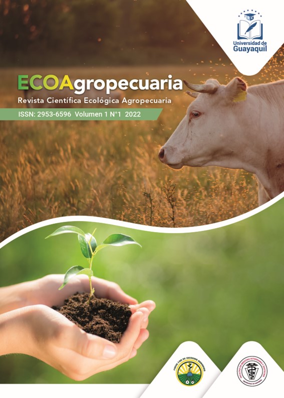					Ver Vol. 1 Núm. 1 (2022): Revista Científica Ecológica Agropecuaria
				